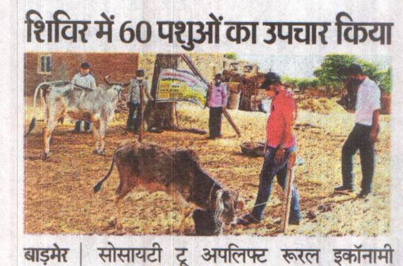 60 animals were treated at camp